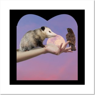 The opossum love Posters and Art